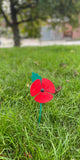 The Remembrance Poppies (100)